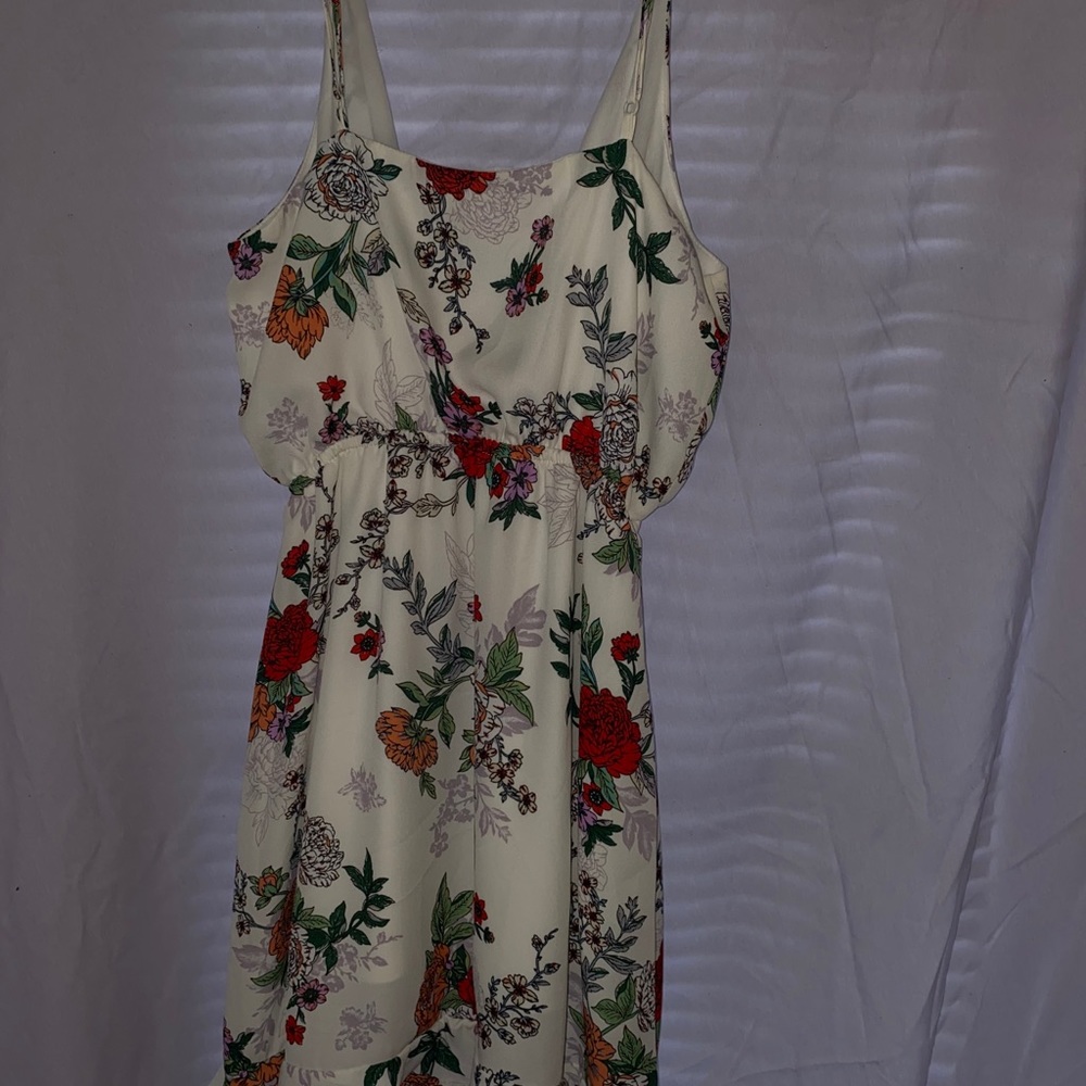 Spring Dress - Picture 3 of 3